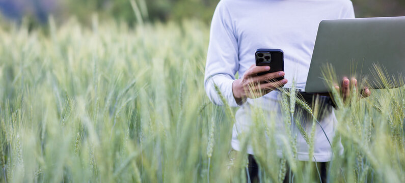 Cropped image of smart young farmer holding laptop computer, barley field as agricultural technology concept background.