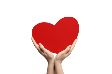 Heart of red color from cardboard in hands