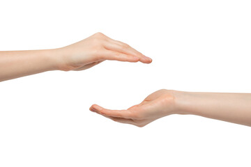 A woman's hand with a palm up and down.