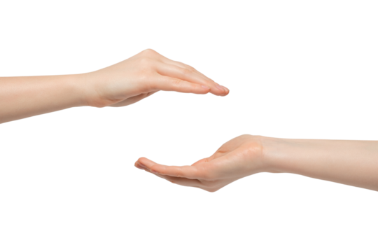 A woman's hand with a palm up and down.