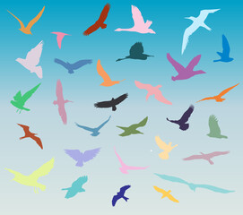 Flying Birds Flock Over The Blue Sky Horizon And Sea