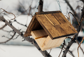 Wooden bird feeder for feeding birds in winter. The concept of hunger and survival of birds in winter