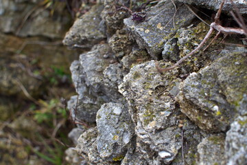 Stones covered with green moss