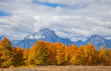Fototapeta na wymiar Beautiful Scenic Autumn Landscape in Grand Teton National Park Wyoming