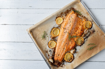 Oven baked half salmon filled with lemon, garlic, thyme marinade on a baking tray on white...