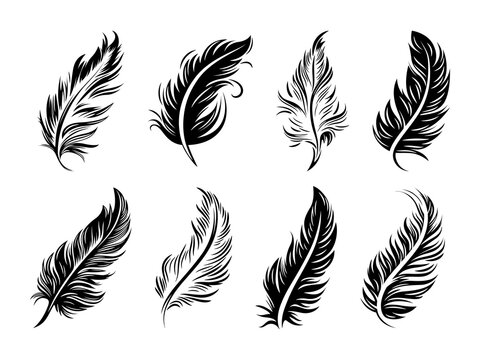 Vector Fluffy Feather Silhouette Icon Set Isolated. Design Template of Flamingo, Angel, Bird Feathers for Logo. Lightness, Freedom Concept