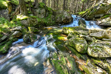 wild river flowing in the forest in Romania in the Carpathians in the Retezat Mountains