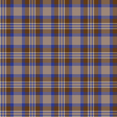 Blue Minimal Plaid textured Seamless Pattern