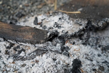ashes wood