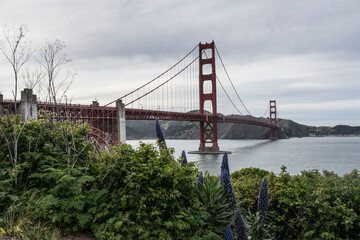 golden gate bridge
