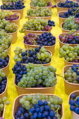 Viele Körbe mit roten und grünen Weintrauben auf einem Tisch