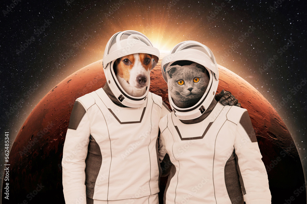 Poster Funny dog and cat astronaut in space suits hug and stand on background of a red planet Mars with sunset. Two pet friends cat and dog adventure together in space. Space mission animals, creative idea