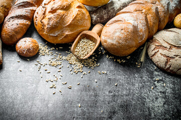 The range of types of fresh bread with grain.