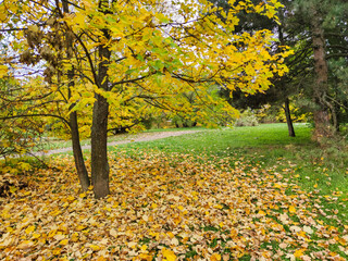 Autumn view of South Park in city of Sofia, Bulgaria