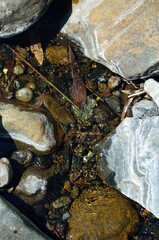 Agua cristalina en Sendero de las Cascadas, Tolox