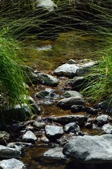 Pozas de agua en el Sendero de las Cascadas, Tolox