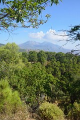 Obraz premium Paisajes de la Sierra de las Nieves, Tolox