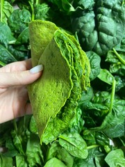 hand holding spinach pancake