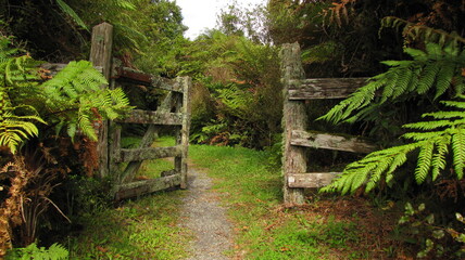wooden house in the jungle