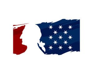 face flag vector illustration