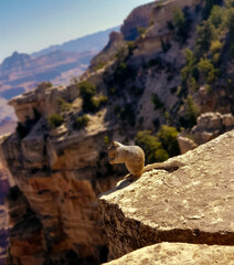 rock climbing on rock