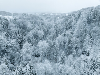 Fototapeta na wymiar Aerial view of snow covered forest in winter in Switzerland, Europe. Rural landscape in cold season.