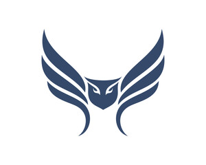 owl vector illustration