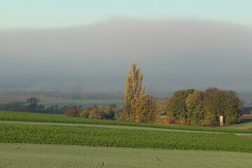 Nebelbank