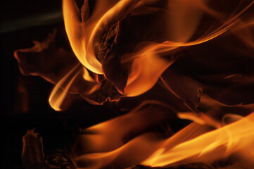 Close up of fire and flames