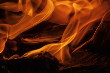 Close up of fire and flames
