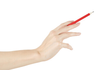Woman hand pointing something with pencil. Isolated png with transparency