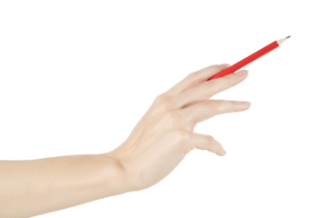 Woman hand pointing something with pencil. Isolated png with transparency