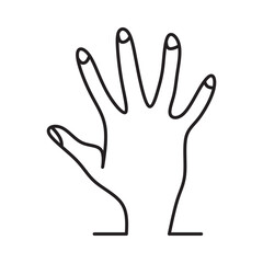Hand showing five fingers and palm illustration, outline hand icon. Draw a Palm Line