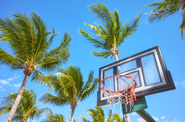 Basketball ring and backboard with coconut palm trees in background, selective focus.