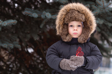 Portrait of a beautiful little Russian boy in a hat with earflaps with a lollipop cockerel in winter in the park. The concept of a happy childhood, Russian traditional sweets and lifestyle.