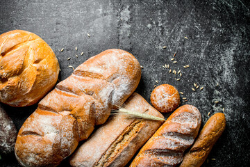 A variety of fresh baked bread.