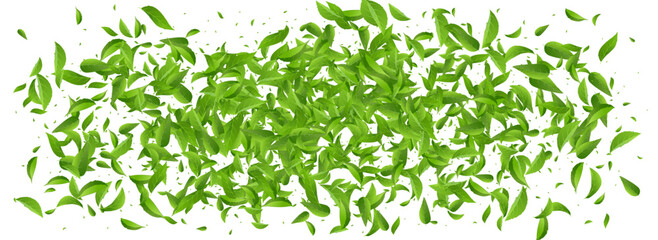 Lime Foliage Wind Vector Panoramic White