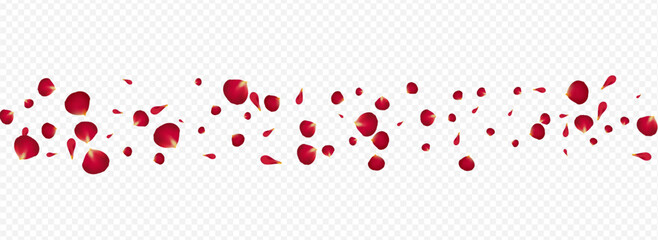 Red Cherry Fly Vector Panoramic Transparent