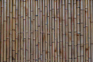 Bamboo fence or wall texture background for interior or exterior design, closeup