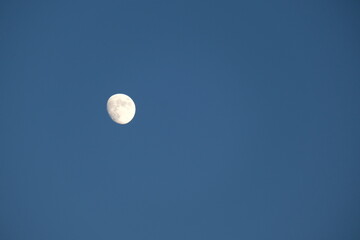 Moon