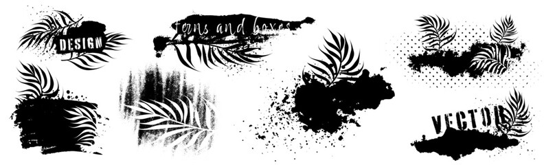 Dirty artistic grunge vector texture with ferns. Design elements, boxes and frames for text. Inked splatter dirt stain brushes with drops blots. Dirty grunge elements and spray graffiti stencil. 