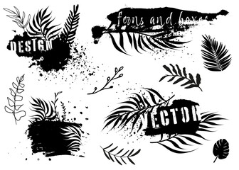 Dirty artistic grunge vector texture with ferns. Design elements, boxes and frames for text. Inked splatter dirt stain brushes with drops blots. Dirty grunge elements and spray graffiti stencil. 
