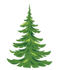 One green young spruce tree illustration in a simple colors, young conifer plant in side view isolated
