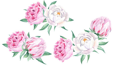 Watercolor peonies bouquets set. Hand painted combination of white and pink flowers and green leaves isolated on white background. Can be used for greeting cards, wedding invitations, save the date