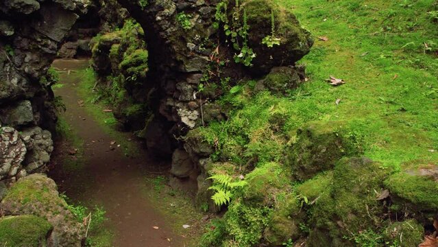 A&ccedil;ores Verde