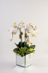 philodendra orchid flower arrangement