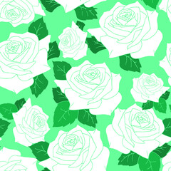 seamless pattern of large white rose flowers on a green background, texture, design