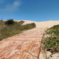 path in the desert