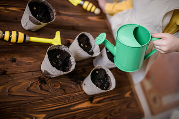 Winter preparation for the sowing season. A girl watered the seeds in pots on a wooden table with sown seeds. Growing seedlings for the garden. Vegetables for an eco farm.