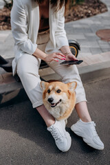 Top view of businesswoman in white suit sitting on electric scooter and using phone during walking with Welsh Corgi Pembroke dog in city